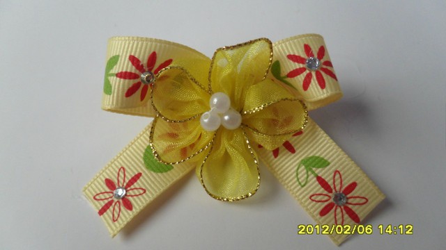 journal_insert_pic_75951276