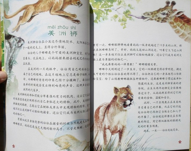 journal_insert_pic_75965340