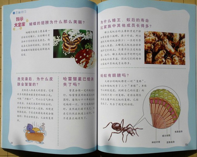 journal_insert_pic_75965142