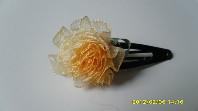 journal_insert_pic_75951212