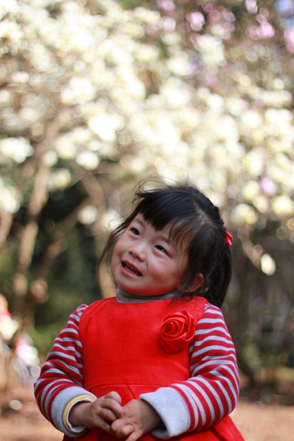 journal_insert_pic_76103535