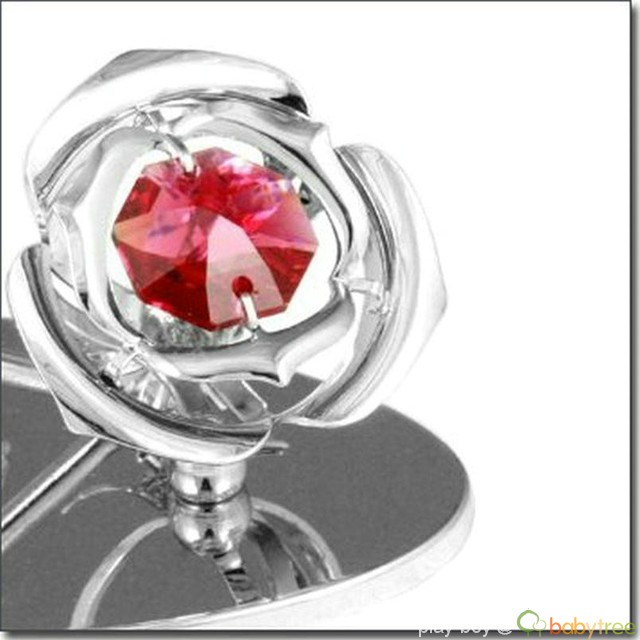 journal_insert_pic_76528789
