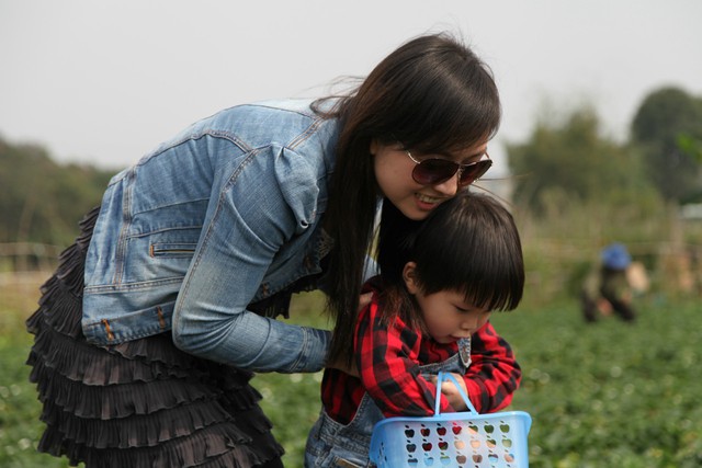 journal_insert_pic_76827429