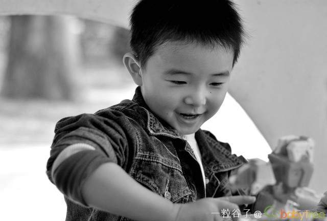 journal_insert_pic_76826229