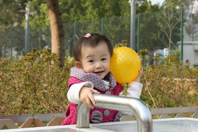 journal_insert_pic_76811634