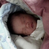 IMG1376A.jpg