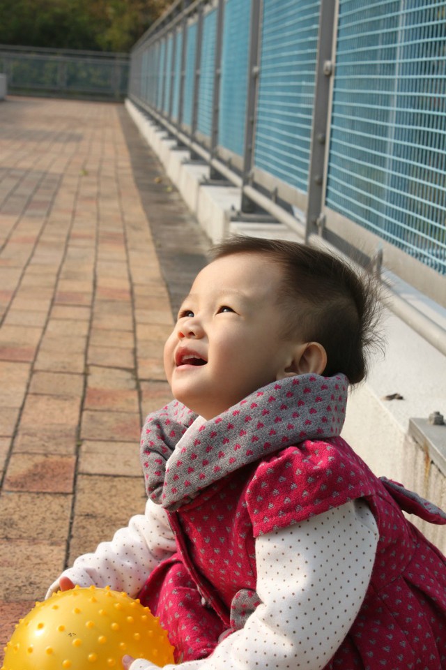 journal_insert_pic_76810173