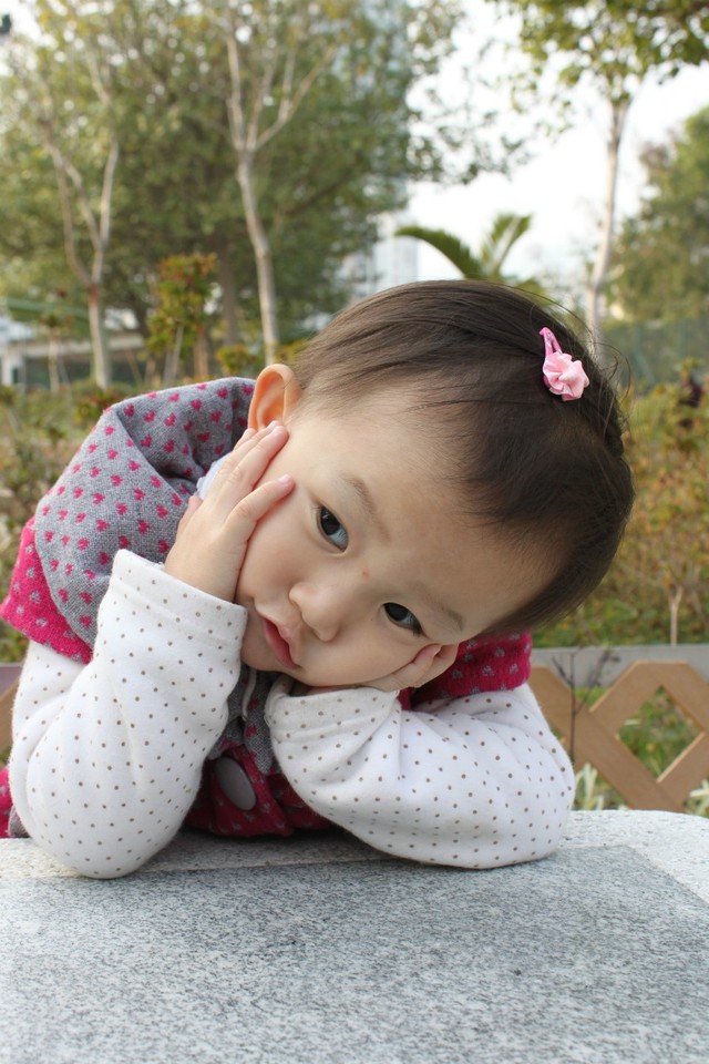 journal_insert_pic_76811215