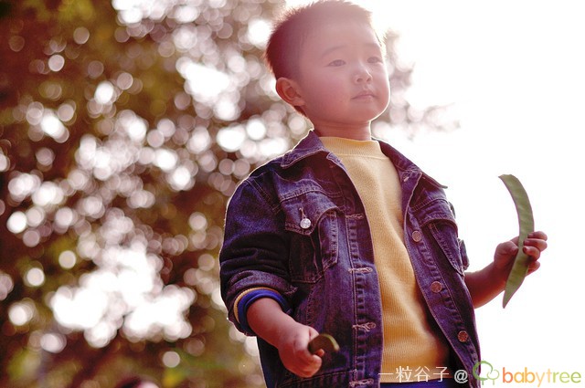 journal_insert_pic_76826427