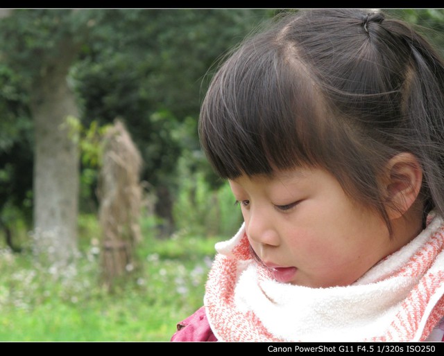 journal_insert_pic_76848301