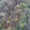 P1000790.JPG