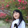 玉渊潭赏樱