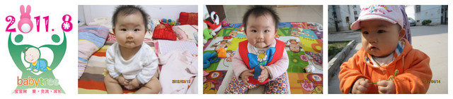 journal_insert_pic_80726958