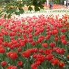 IMG_7393.JPG