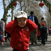 3y5m20120331采摘 (112).JPG