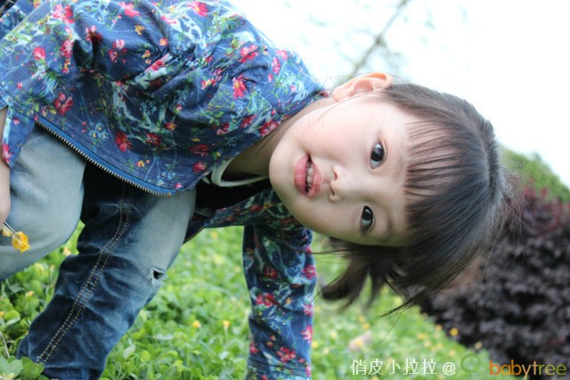 journal_insert_pic_81148257