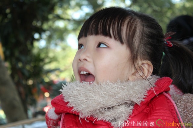 journal_insert_pic_81127715