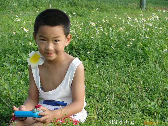 journal_insert_pic_81277177