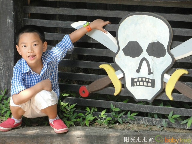 journal_insert_pic_81268239