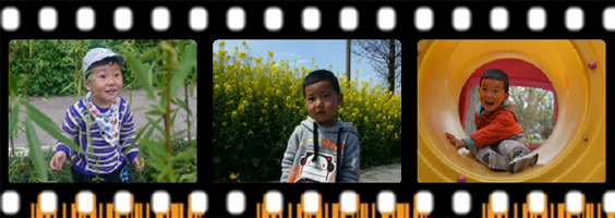 journal_insert_pic_81785555