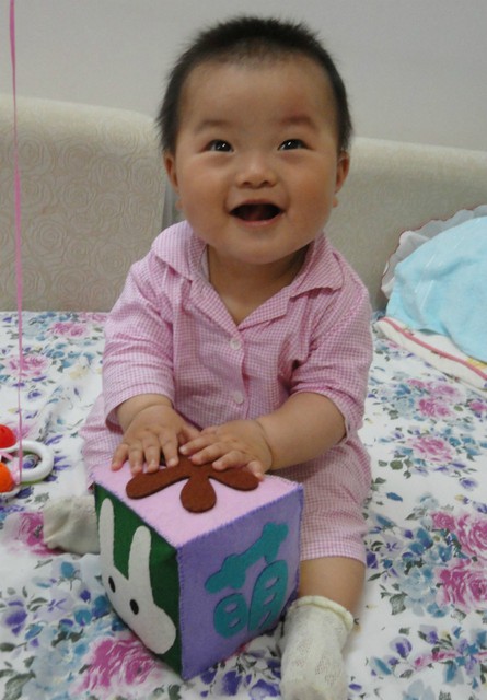 journal_insert_pic_81814953