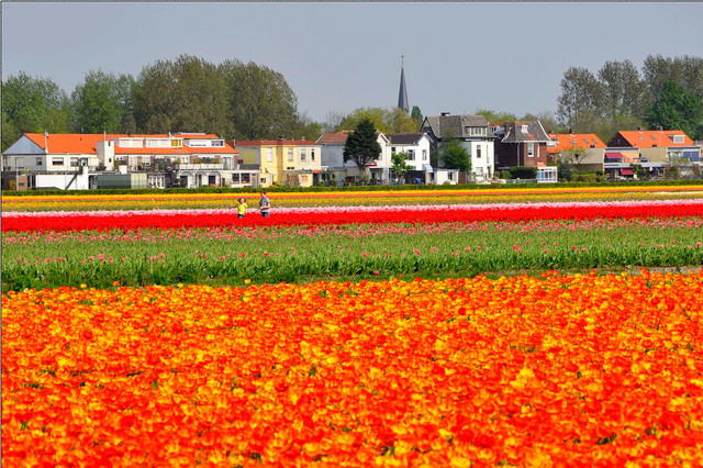 journal_insert_pic_98409791