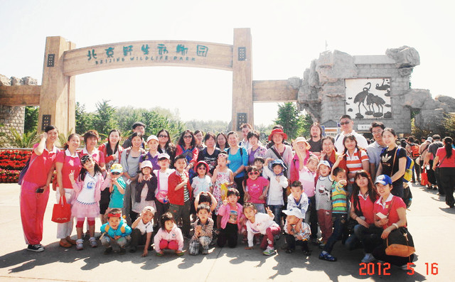 journal_insert_pic_143040946