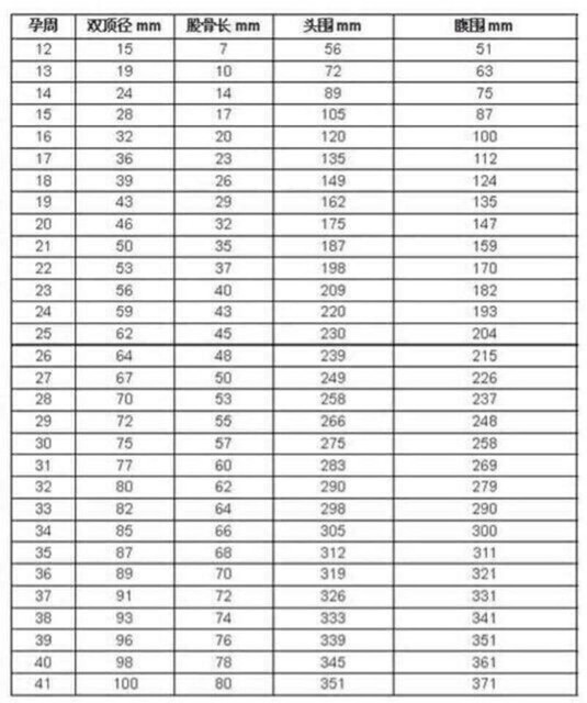 5,股骨头5.3!宝宝是大还是小?