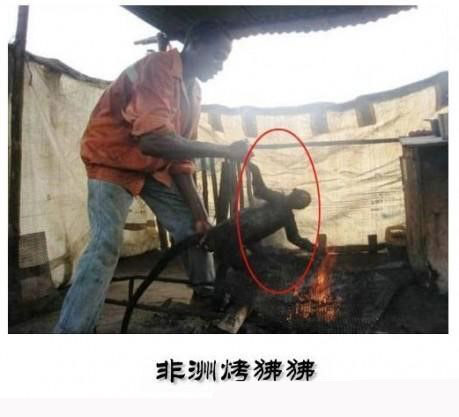 第十二:非洲烤狒狒
