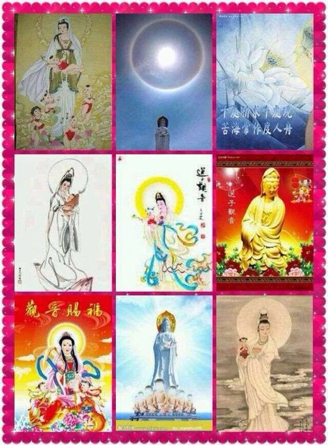 只看该用户 来自宝宝树