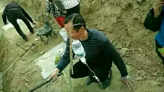 满脑子都是鱼!钓鱼党你家有中招的没?