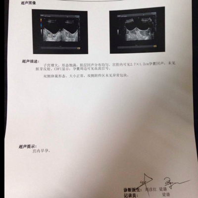 journal_insert_pic_331181556