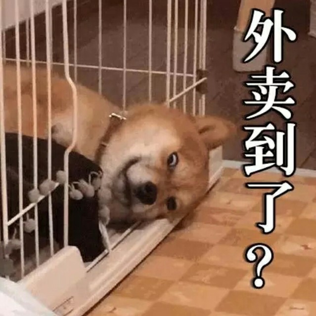 外卖到了吗?人家饿了   