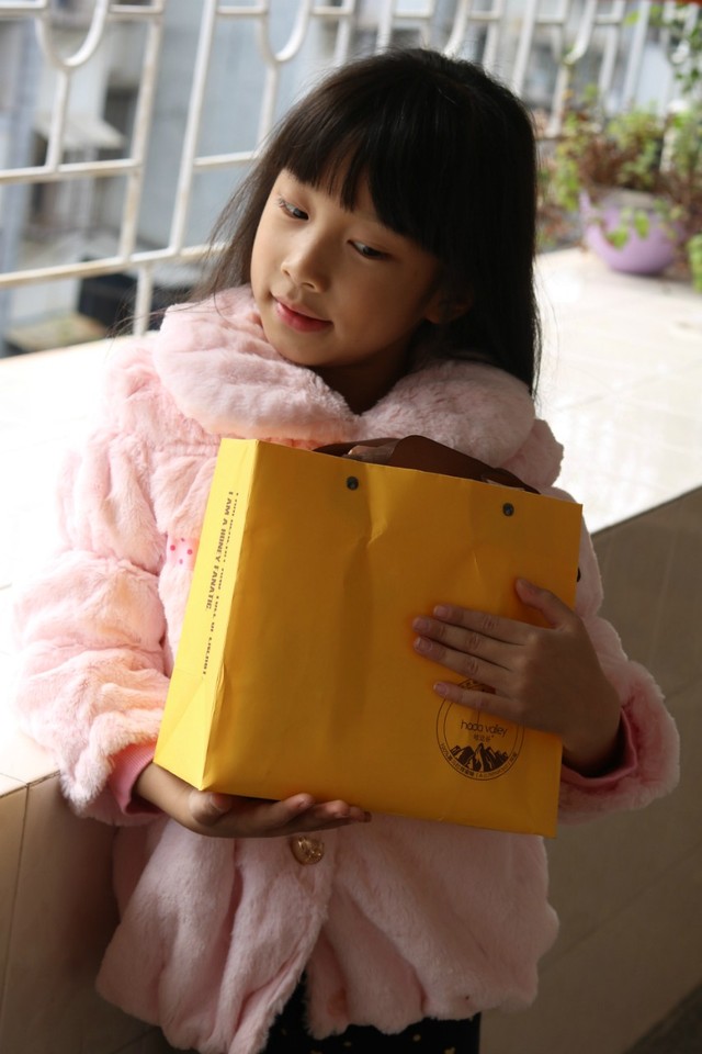 journal_insert_pic_930380011