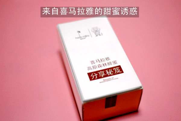journal_insert_pic_931551651