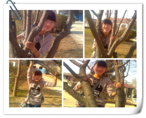 journal_insert_pic_55300719