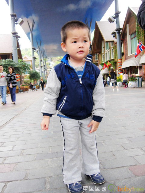journal_insert_pic_55878150