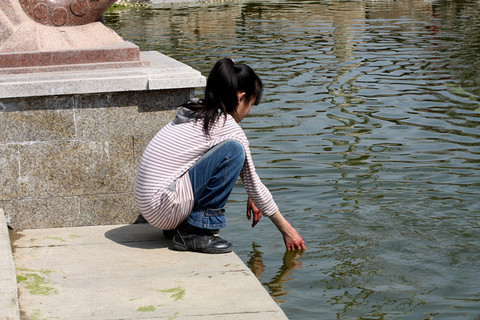 journal_insert_pic_56007545