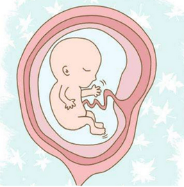 https://pic03.babytreeimg.com/foto3/common_photo/original/2019/0321/c7ef58d115837524.png