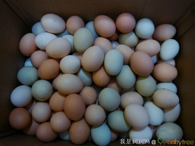 【开团贴】(18团)还是那些鸡蛋/母鸡/猪肉