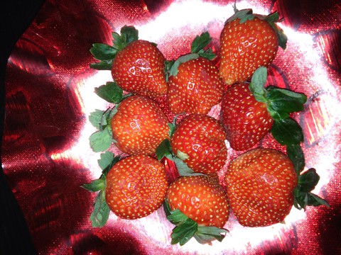 刚刚去买水果,看见草莓好吃吖,一斤十块.