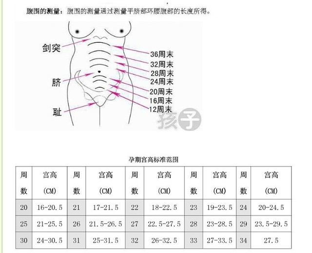 孕妇胎儿体重增长表各位宝妈都合格了吗 宝宝树