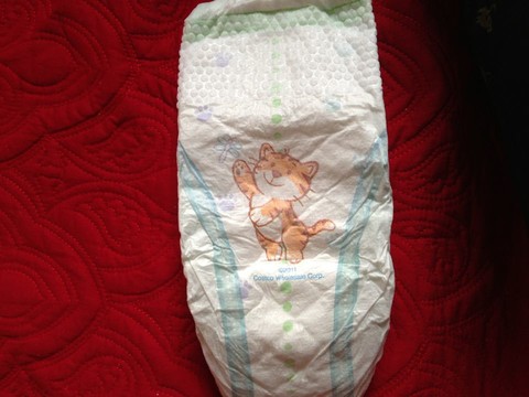 journal_insert_pic_120063159