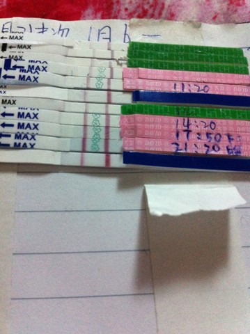 journal_insert_pic_122415208