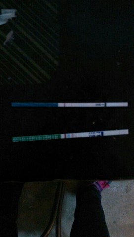 journal_insert_pic_122389971