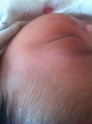 journal_insert_pic_123062110