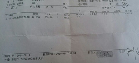 journal_insert_pic_123510736