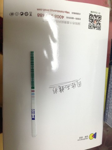 journal_insert_pic_123613107