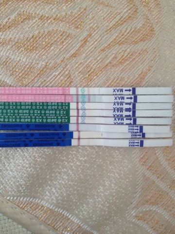 journal_insert_pic_123657519