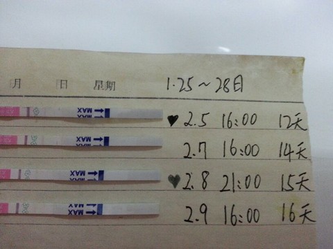 journal_insert_pic_125216794